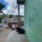 WhatsApp Image 2021-12-18 at 18.47.57