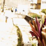 WhatsApp Image 2021-12-22 at 14.50.17 (3)